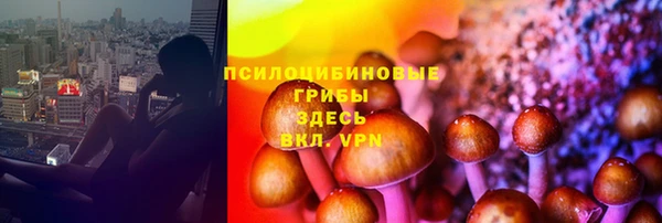 твердый Абаза
